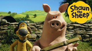 Shaun the Sheep  Pig Chaos - Cartoons for Kids  Full Episodes Compilation [1 hour]