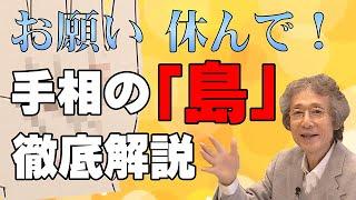 【手相占い】休まないといけない手相　または　今こそ夢を叶えるために大事な時期！を教える手相「島」徹底解説！ストレスへの対応と開運法とは？【手相家　西谷泰人　ニシタニショーVol.204】