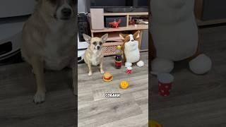 ПОМОГИТЕ ВЫБРАТЬ ПОДАРОК #shorts