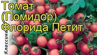 Томат Флорида Петит. Краткий обзор, описание характеристик, где купить семена solánum lycopérsicum