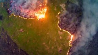 The Tragedy Of Deforestation | Climate Change: The Facts | BBC Earth