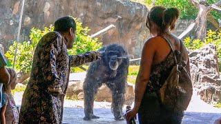 Baljeet Goes to the Zoo!!!