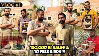 #NS_Vlog 150,000 ki Sales & 10 Free Birds!!!