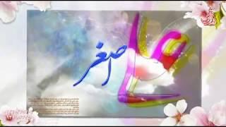 ولادت حضرت علی اصغر (ع) - مداحی زیبای حاج حسین سیب سرخی