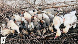 AWESOME LAST DAY Of Duck Season (Limits!) | CA Public Land Duck Hunting 2023