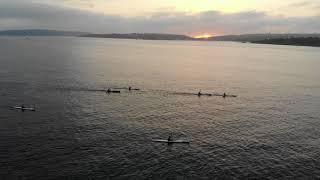 Sydney Harbour Surf Club