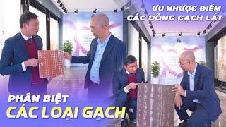 Phân Biệt Các Loại Gạch Và Ưu Nhược Điểm Của Các Dòng Gạch Lát Nền Hiện Nay Trên Thị Trường