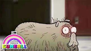 Chris Morris the Hamster | The Amazing World of Gumball | Cartoon Network