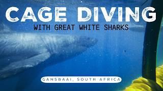 Cage Diving with GREAT WHITE SHARKS in South Africa