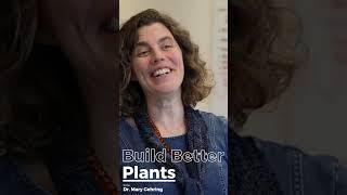 Genetically Advanced Plants... in the Wild?