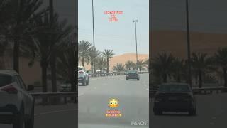 Desert view#alain #uae #travel #shortsviral #nature #shortsvideo #youtubetrending #latesttrends