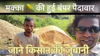 मक्के की फसल से चमकी किसान की क़िस्मत || sweetcorn farming ||