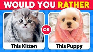 Would You Rather...? ANIMALS Edition  Quiz Kingdom