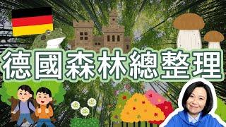 2023最新德國境內森林全貌介紹/必遊的德國森林名單/德國森林公園的分布與特色/最完整最精簡的德國森林環境總覽/靠譜店長第74集/德國森林總整理