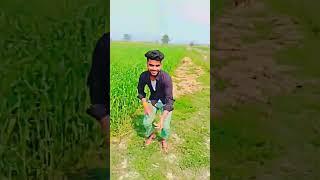 te te Tenge #viral short video  Amit nishad up51 