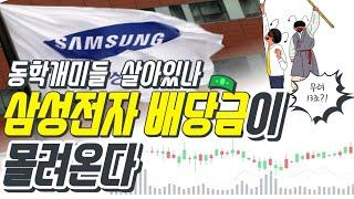 13조의 삼성전자 주식 배당금 정보 | 배당금은얼마 | 배당지급일은어제 | 삼성전자우 | 동학개미대표주식