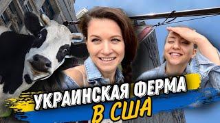 ОРГАНИЧЕСКИЕ ПРОДУКТЫ В США ИЗ УКРАИНСКИХ ФЕРМ/ЧИКАГО ИЛЛИНОЙС,ТУТ ЕСТЬ ВСЕ