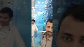 jeddah airport  fish aquarium