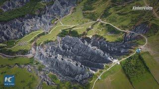 Unique stone forest at Moshi Park scenic area in SW China