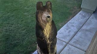 Chainsaw Wood Carving: Watch a Bear Come to Life!