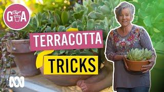 Easy Terracotta Pot Tips and Tricks | Gardening Hacks | Gardening Australia