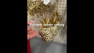 #familyvlog  #holidayseason  #christmasdecor  #falldecor