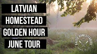 Latvian Homestead 'Golden Hour' June 2021 Tour