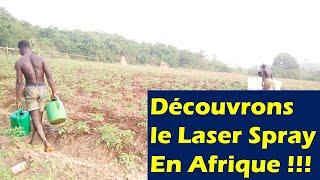 L'IRRIGATION LASER SPRAY EN AFRIQUE