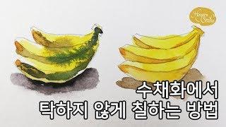 [수채화 기초] 탁하게 채색하지 않는 방법 : Basic Watercolor: Hoyarn