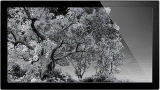 How To Convert Images To Infrared - Infrared Photography