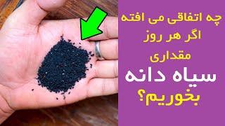 فواید سیاه دانه و چه اتفاقی می افته اگر هر روز مقداری سیاه دانه بخوریم؟