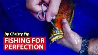 Fishing For Perfection: Cosmetic Surgery For Your Pet Fish? | CNA Insider