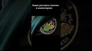 В ФТС опровергли данные, что был усилен контроль при ввозе товаров для нужд СВО