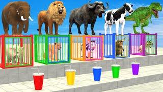 Cow Elephant Lion Gorilla T Rex Don't Choose The Wrong Drink CHALLENGE Animals Cage Game 3D