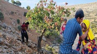 Finding his lost self in the mountain and Masoud Diana's happiness next to his mother