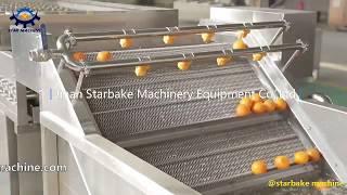 Vegetable fruit processing line: cleaning washing, sorting, grading