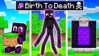 BIRTH to DEATH of a MUTANT ENDERMAN in Minecraft!