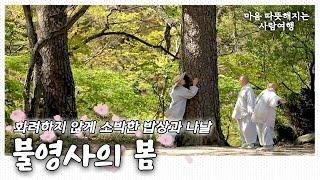 화려하지 않지만 소박한 밥상과 나날들, 충만한 봄 울진 불영사 이야기｜[국내여행] KBS 20170505