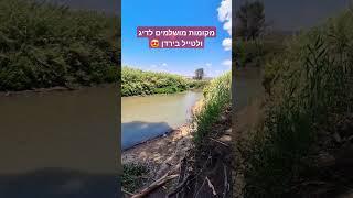 איך להגיע לדוג בירדן ??? צפו עד הסוף!