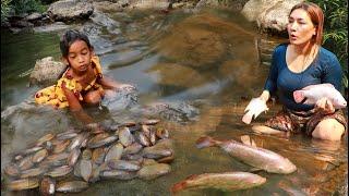 Top survival cooking in jungle- Catch many red fish and pick a lot shell for food of survival