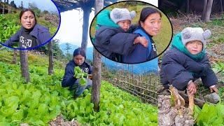 Jina & Jonson Picking large mustard leaf II Jina's vegetable farm@pastorallifeofnepal