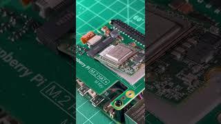 The Raspberry Pi M.2 HAT+ with the Hailo-8L AI acceleration module.