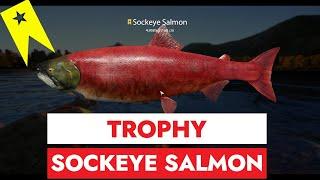 RUSSIAN FISHING 4 - YAMA - UNEXPECTED SOCKEYE SALMON TROPHY