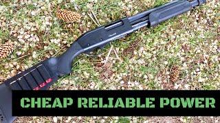 AKKAR CHURCHILL SHOTGUN REVIEW