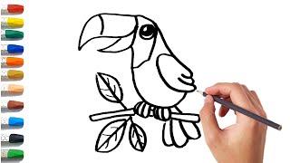 Learn to Draw and Color Taucan Birds||Get to Know Animals in the Surrounding Environment