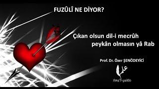 ÇIKAN OLSUN DİL-İ MECRÛH (Fuzûlî Ne Diyor?) Prof. Dr. Özer ŞENÖDEYİCİ