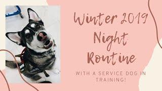 2019 Winter Night Routine with my Service Dog