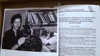 Энтомолог, Специалист по систематике тлей (Aphidoidea) Мамонтова В.А. Киев, Украина, part-02