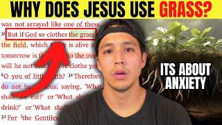 Why Jesus Uses Grass To Confront Anxiety In Matthew 6 | Bible Study | Jason Camacho