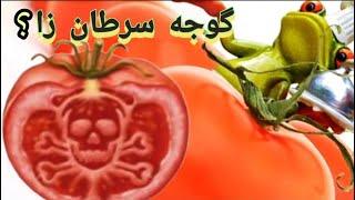 Are tomatoes with white streaks carcinogenic?#persianfood #persian #ashpaziirani